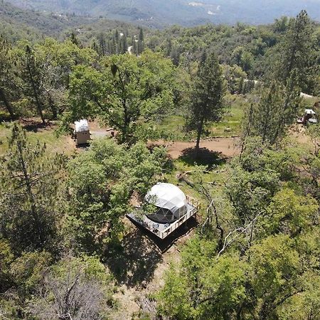 Enchanted Forest Dome ,10-15 Minutes To Kings Canyons-New Pellet Stove For Cozy Warm Nights Dunlap Ngoại thất bức ảnh
