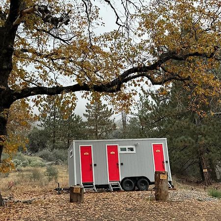 Enchanted Forest Dome ,10-15 Minutes To Kings Canyons-New Pellet Stove For Cozy Warm Nights Dunlap Ngoại thất bức ảnh