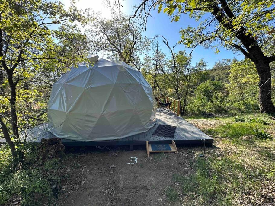 Enchanted Forest Dome ,10-15 Minutes To Kings Canyons-New Pellet Stove For Cozy Warm Nights Dunlap Ngoại thất bức ảnh