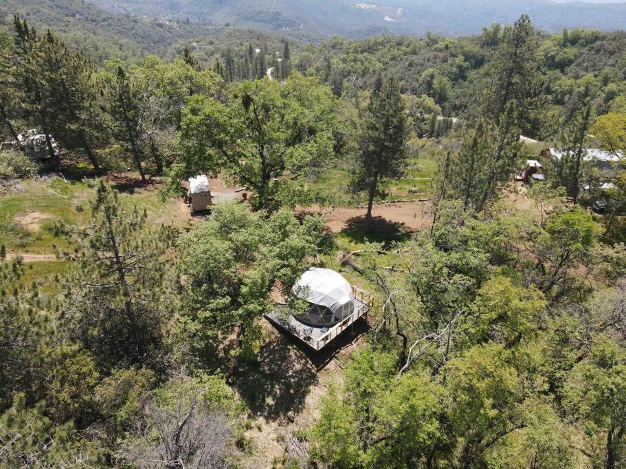 Enchanted Forest Dome ,10-15 Minutes To Kings Canyons-New Pellet Stove For Cozy Warm Nights Dunlap Ngoại thất bức ảnh
